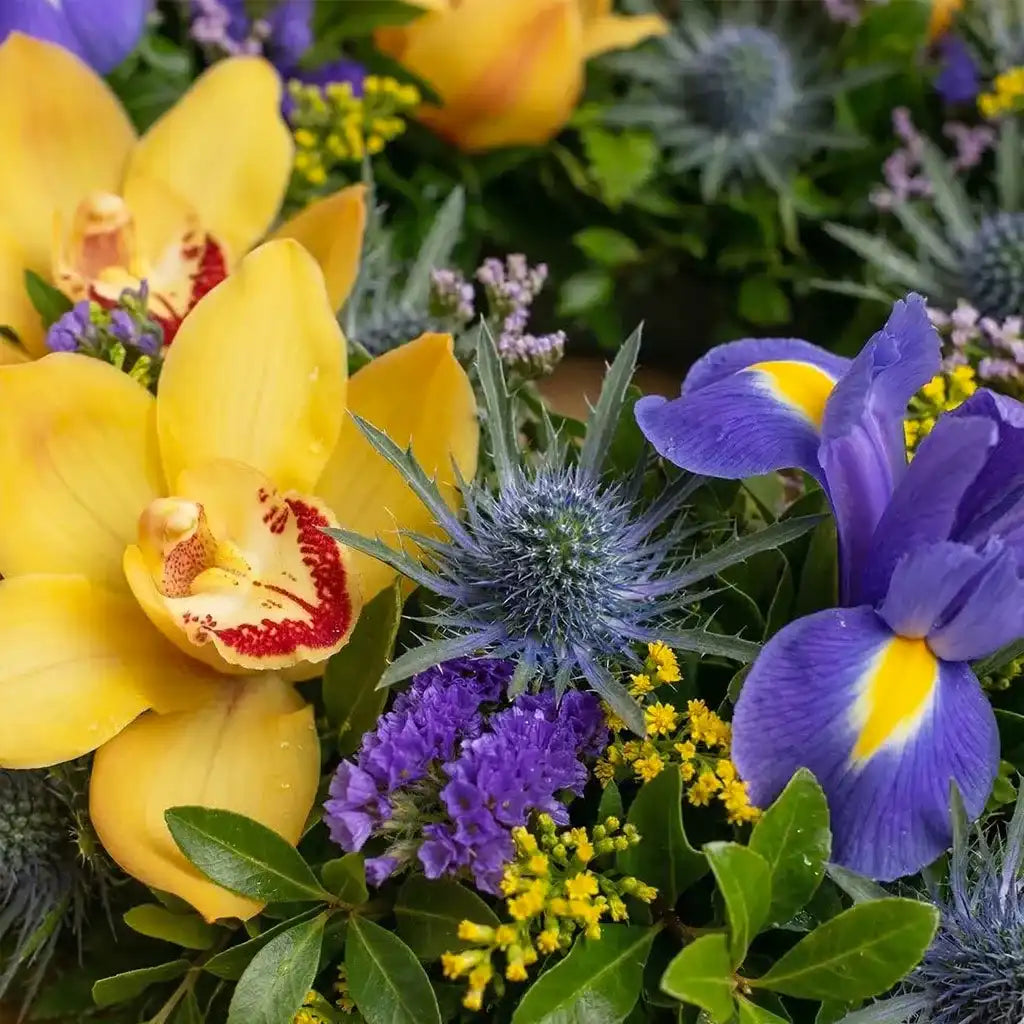 Sympathy Orchid and Iris Wreath