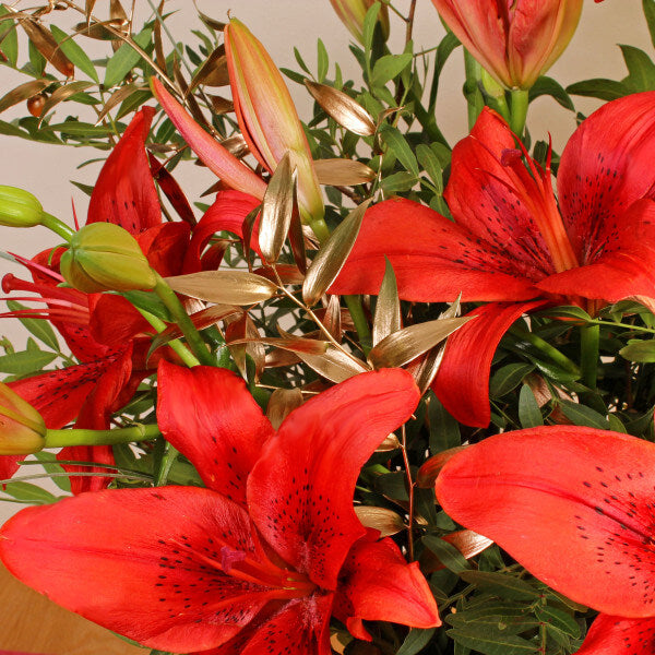 Festive Red Lilies