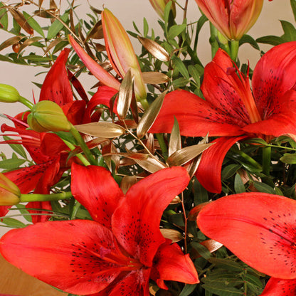 Festive Red Lilies