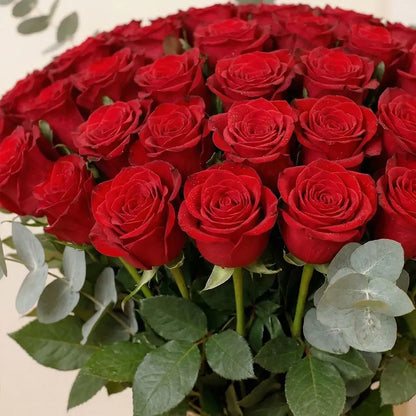 Luxury 50 Red Roses