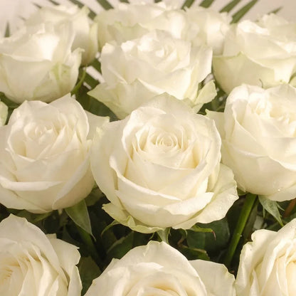 Luxury Two Dozen White Roses