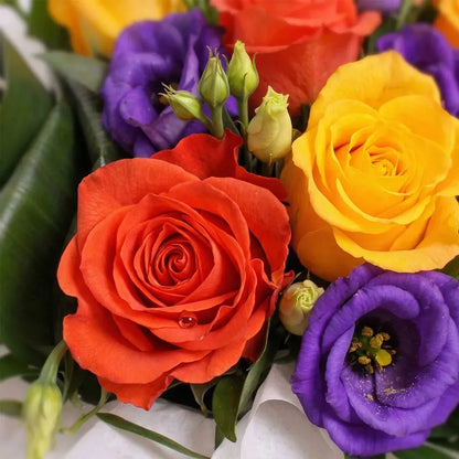Rose Box Citrus