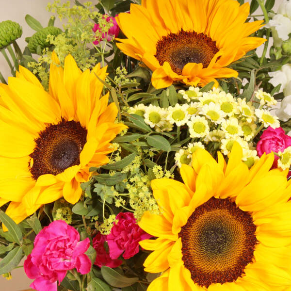 Solent Mcc Solent | Same Day Delivery | Flower Shops Network